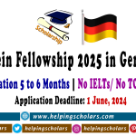 Einstein Fellowship Germany